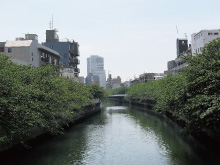 汐見川辺の小橋