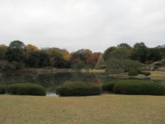 六義園紅葉写真01