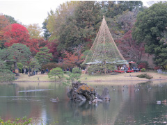 六義園紅葉写真02