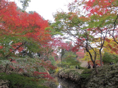 六義園紅葉写真04