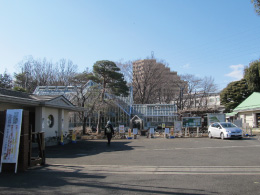 東京都薬用植物園玄関先