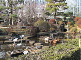 東京都薬用植物園園内03