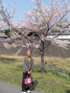 皇居の桜2019_1